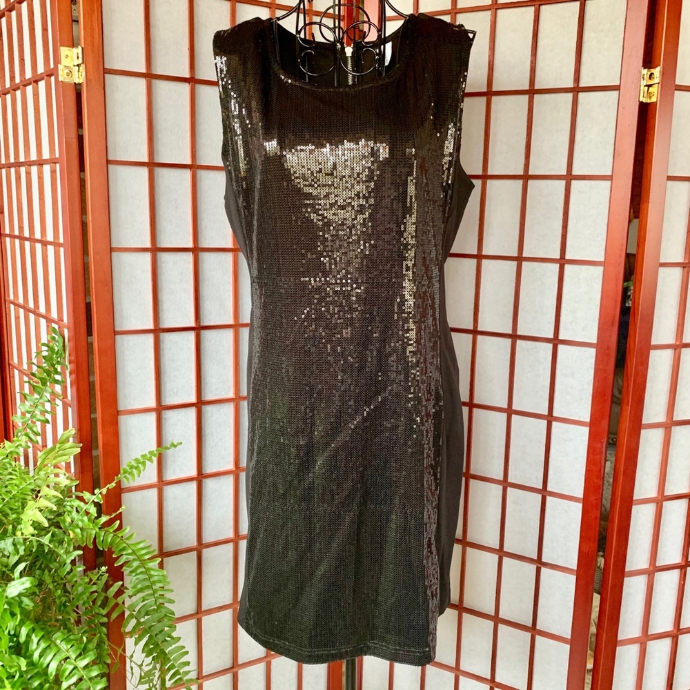 Divided Sequin Panel Midi Nwot - image 2